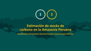 MRV REDD+ y contabilidad de GEI