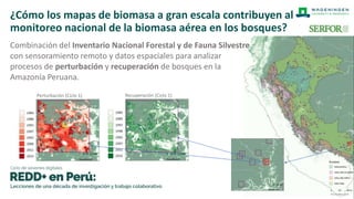 MRV REDD+ y contabilidad de GEI