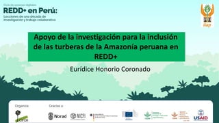 Eurídice Honorio Coronado
Apoyo de la investigación para la inclusión
de las turberas de la Amazonía peruana en
REDD+
 
