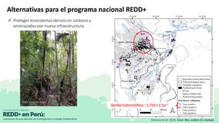 Apoyo de la investigación para la inclusión de las turberas de la Amazonía peruana en REDD+
