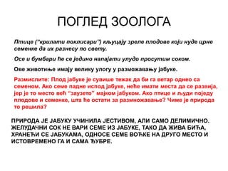 2. jabuka na drumu nauka | PPT