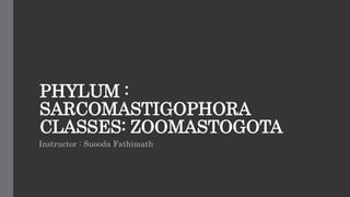 Phylum Sarcomastigophora
