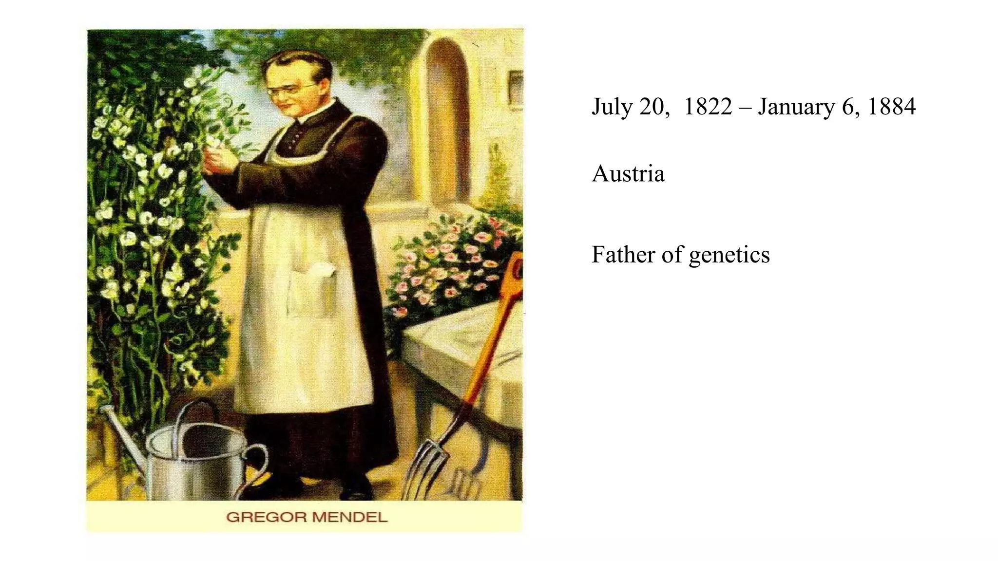 Mendelian Laws of Inheritance