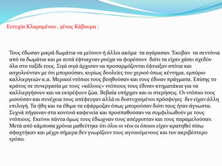 Ευτυχία Κλαρομένου , γένος Κάβουρα :
Τους έδωσαν μικρά δωμάτια να μείνουν ή άλλοι ακόμα τα αγόρασαν. Έκοβαν τα σεντόνια
από τα δωμάτια και με αυτά έφτιαχναν ρούχα να φορέσουν διότι τα είχαν χάσει σχεδόν
όλα στο ταξίδι τους. Σιγά σιγά άρχισαν να προσαρμόζονται έφτιαξαν σπίτια και
ασχολούνταν με ότι μπορούσαν, κυρίως δουλείες του χεριού όπως κέντημα, εμπόριο
καλλιεργειών κ.α. Μερικοί ντόπιοι τους βοηθούσαν και τους έδιναν πράγματα. Επίσης το
κράτος σε συνεργασία με τους «κάλους» ντόπιους τους έδιναν κτηματάκια για να
καλλιεργήσουν και να εκτρέψουν ζώα. Βεβαία υπήρχαν και οι στερήσεις. Οι ντόπιοι τους
μισούσαν και συνέχεια τους απέφευγαν αλλά οι δυστυχισμένοι πρόσφυγες δεν είχαν άλλη
επιλογή. Τα ήθη και τα έθιμα τα εφάρμοζαν όπως μπορούσαν διότι τους ήταν άγνωστα.
Συχνά πήγαιναν στα κοντινά καφενεία και προσπαθούσαν να συμφιλιωθούν με τους
ντόπιους. Εκείνοι πάντα όμως τους έδιωχναν τους απέρριπταν και τους παραμελούσαν.
Μετά από κάμποσα χρόνια μαθεύτηκε ότι όλοι οι νέοι οι όποιοι είχαν κρατηθεί πίσω
σφαχτήκαν και μέχρι σήμερα δεν γνωρίζουν τους αγνοούμενους και τον ακριβέστερο
τρόπο.
 
