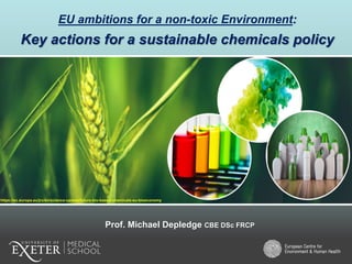 Prof. Michael Depledge CBE DSc FRCP
EU ambitions for a non-toxic Environment:
Key actions for a sustainable chemicals policy
https://ec.europa.eu/jrc/en/science-update/future-bio-based-chemicals-eu-bioeconomy
 