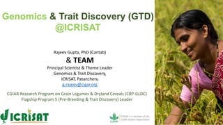 Genomics & Trait Discovery (GTD)
@ICRISAT
Rajeev Gupta, PhD (Cantab)
& TEAM
Principal Scientist & Theme Leader
Genomics & Trait Discovery,
ICRISAT, Patancheru
g.rajeev@cigar.org
CGIAR Research Program on Grain Legumes & Dryland Cereals (CRP-GLDC)
Flagship Program 5 (Pre-Breeding & Trait Discovery) Leader
 