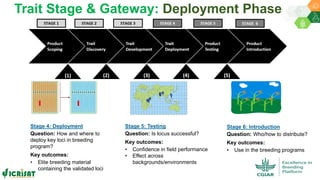 Research Program Genetic Gains (RPGG) - Review Meeting 2021: Genomics & Trait Discovery By Dr Rajeev Gupta