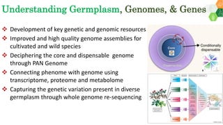 Research Program Genetic Gains (RPGG) - Review Meeting 2021: Genomics & Trait Discovery By Dr Rajeev Gupta
