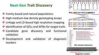 Research Program Genetic Gains (RPGG) - Review Meeting 2021: Genomics & Trait Discovery By Dr Rajeev Gupta