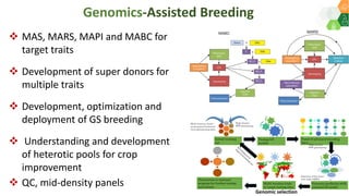 Research Program Genetic Gains (RPGG) - Review Meeting 2021: Genomics & Trait Discovery By Dr Rajeev Gupta