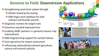 Research Program Genetic Gains (RPGG) - Review Meeting 2021: Genomics & Trait Discovery By Dr Rajeev Gupta