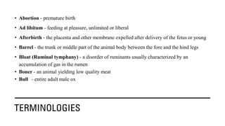 TERMINOLOGIES
• Abortion - premature birth
• Ad libitum - feeding at pleasure, unlimited or liberal
• Afterbirth - the placenta and other membrane expelled after delivery of the fetus or young
• Barrel - the trunk or middle part of the animal body between the fore and the hind legs
• Bloat (Ruminal tymphany) - a disorder of ruminants usually characterized by an
accumulation of gas in the rumen
• Boner - an animal yielding low quality meat
• Bull - entire adult male ox
 