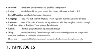 TERMINOLOGIES
• Purebred - bred from pure blood and are qualified for registration
• Ration - feed allowed for a given animal for a day of 24 hours whether it is fed
• Rectal Palpation- a method of pregnancy diagnosis
• Roughage - any feed high in crude fiber and low in digestible nutrients, on an air-dry basis
• Ruminant - one of the order of animals having a stomach with four complete chambers through
which food passes in digestion. These animals chew their cud
• Rumen - the first compartment of the ruminant stomach
• Silage - the feed resulting from the storage and fermentation of green or wet crops under
anaerobic conditions or conditions without oxygen
• Silent heat - undesirable characteristics of some animals of not manifesting heat openly
 