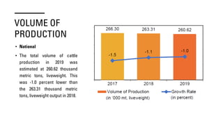 VOLUME OF
PRODUCTION
• National
• The total volume of cattle
production in 2019 was
estimated at 260.62 thousand
metric tons, liveweight. This
was -1.0 percent lower than
the 263.31 thousand metric
tons, liveweight output in 2018.
 