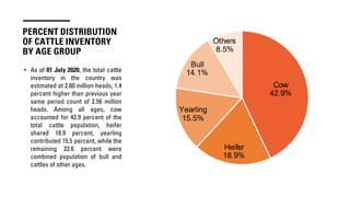PERCENT DISTRIBUTION
OF CATTLE INVENTORY
BY AGE GROUP
• As of 01 July 2020, the total cattle
inventory in the country was
estimated at 2.60 million heads, 1.4
percent higher than previous year
same period count of 2.56 million
heads. Among all ages, cow
accounted for 42.9 percent of the
total cattle population, heifer
shared 18.9 percent, yearling
contributed 15.5 percent, while the
remaining 22.6 percent were
combined population of bull and
cattles of other ages.
 