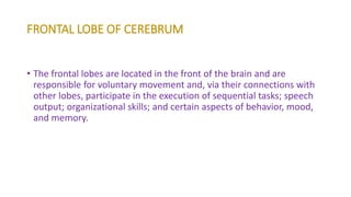 FRONTAL LOBE OF CEREBRUM
• The frontal lobes are located in the front of the brain and are
responsible for voluntary movement and, via their connections with
other lobes, participate in the execution of sequential tasks; speech
output; organizational skills; and certain aspects of behavior, mood,
and memory.
 