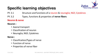 2. NM Neuron, nerve classification 
