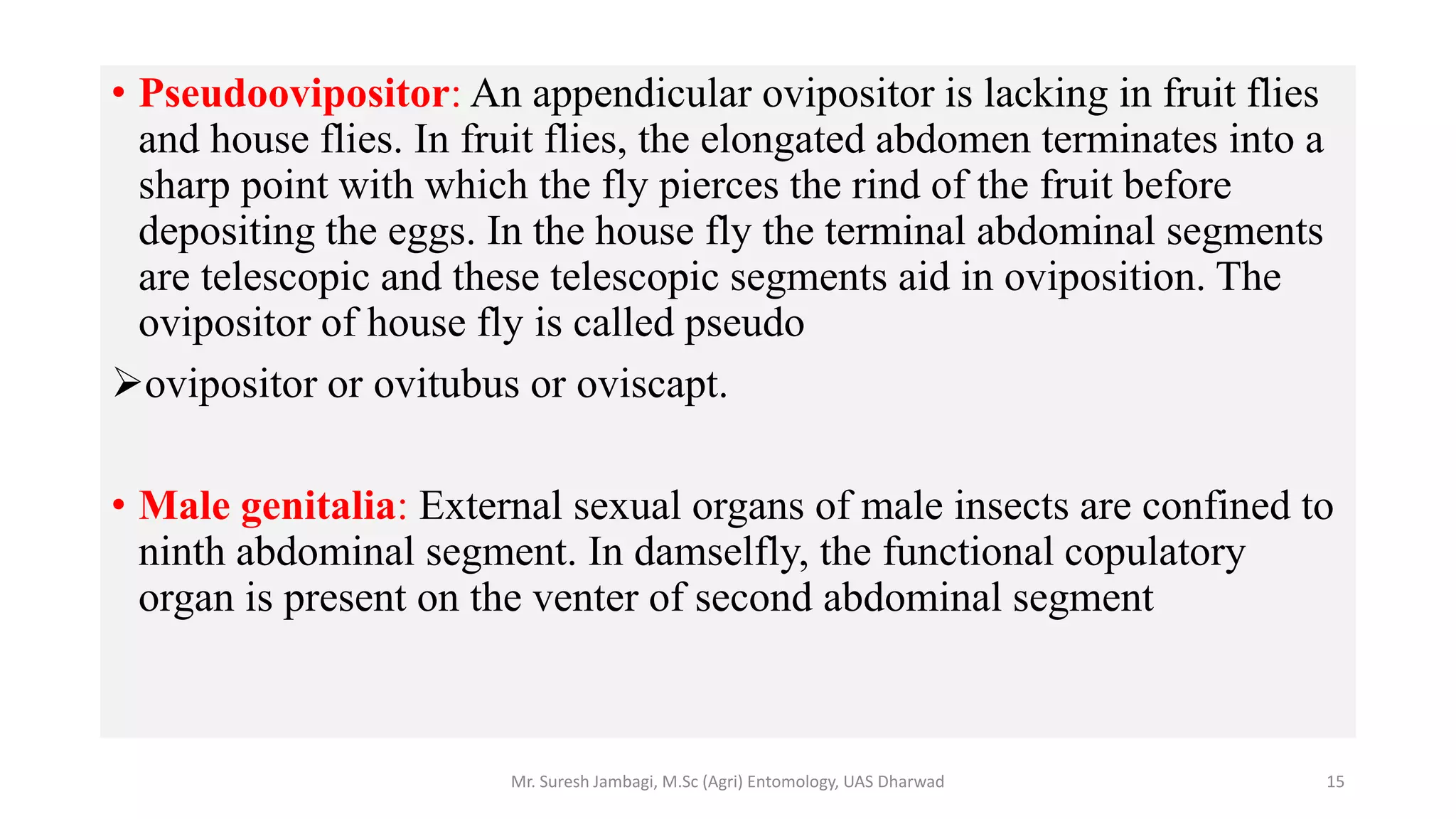 • Pseudoovipositor: An appendicular ovipositor is lacking in fruit flies
and house flies. In fruit flies, the elongated abdomen terminates into a
sharp point with which the fly pierces the rind of the fruit before
depositing the eggs. In the house fly the terminal abdominal segments
are telescopic and these telescopic segments aid in oviposition. The
ovipositor of house fly is called pseudo
ovipositor or ovitubus or oviscapt.
• Male genitalia: External sexual organs of male insects are confined to
ninth abdominal segment. In damselfly, the functional copulatory
organ is present on the venter of second abdominal segment
Mr. Suresh Jambagi, M.Sc (Agri) Entomology, UAS Dharwad 15
 