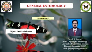 Suresh R. Jambagi
M.Sc. (Agri) Agril. Entomology
University of Agricultural Sciences
Dharwad, Karnataka-580005
Email: jambagisuru@gmail.com
Presentation: 2
GENERAL ENTOMOLOGY
Topic: Insect abdomen
 