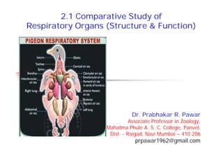 2.1
2.1 Comparative Study of
Respiratory Organs (Structure & Function)
Dr. Prabhakar R. Pawar
Associate Professor in Zoology,
Mahatma Phule A. S. C. College, Panvel,
Dist. - Raigad, Navi Mumbai – 410 206
prpawar1962@gmail.com
 