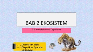 BAB 2 EKOSISTEM
2.2 Interaksi antara Organisma
Disediakan oleh:
Cikgu Noor Syamila
binti Mohd
 