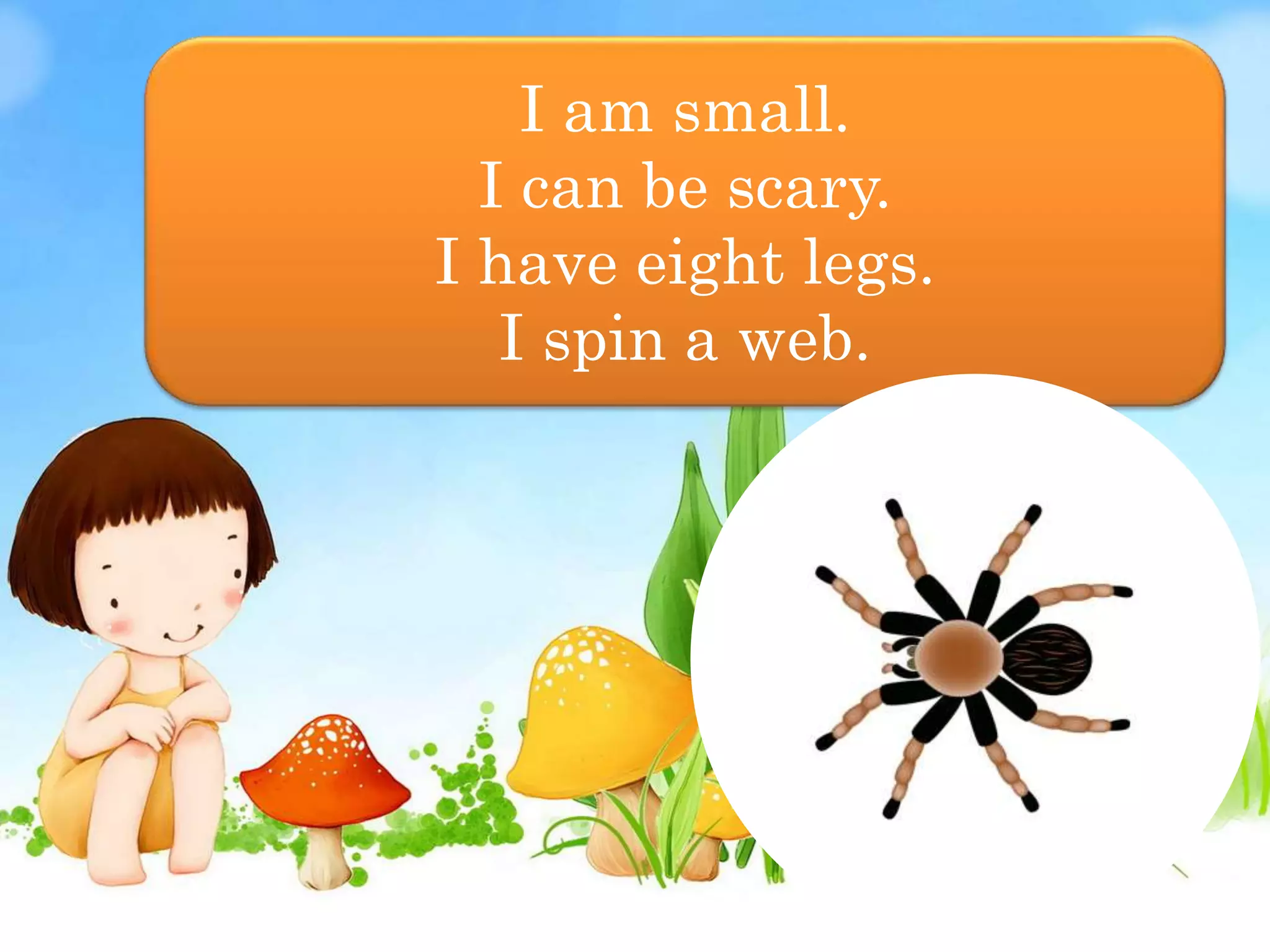 2. animal riddles who am i | PPT