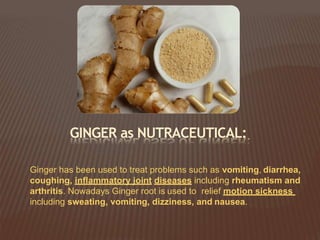 Ginger has been used to treat problems such as vomiting, diarrhea,
coughing, inflammatory joint diseases including rheumatism and
arthritis. Nowadays Ginger root is used to relief motion sickness
including sweating, vomiting, dizziness, and nausea.
GINGER as NUTRACEUTICAL:
 