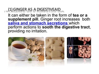 (1)GINGER AS A DIGESTIVEAID
It can either be taken in the form of tea or a
supplement pill. Ginger root increases both
saliva and stomach secretions which
perform actions to sooth the digestive tract,
providing no irritation.
 