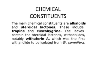 CHEMICAL
CONSTITUENTS
The main chemical constituents are alkaloids
and steroidal lactones. These include
tropine and cuscohygrine. The leaves
contain the steroidal lactones, withanolides,
notably withaferin A, which was the first
withanolide to be isolated from W. somnifera.
 