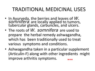 TRADITIONAL MEDICINAL USES
• In Ayurveda, the berries and leaves of W.
somnifera are locally applied to tumors,
tubercular glands, carbuncles, and ulcers.
• The roots of W. somnifera are used to
prepare the herbal remedy ashwagandha,
which has been traditionally used to treat
various symptoms and conditions.
• Ashwagandha taken in a particular supplement
(Articulin-F) along with other ingredients might
improve arthritis symptoms. …
 