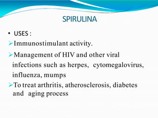 SPIRULINA
• USES :
Immunostimulant activity.
Management of HIV and other viral
infections such as herpes, cytomegalovirus,
influenza, mumps
To treat arthritis, atherosclerosis, diabetes
and aging process
 