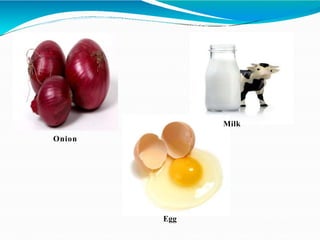 Onion
Milk
Egg
 