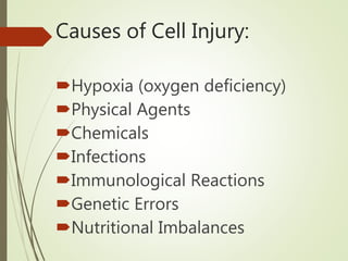 Causes of Cell Injury:
Hypoxia (oxygen deficiency)
Physical Agents
Chemicals
Infections
Immunological Reactions
Genetic Errors
Nutritional Imbalances
 