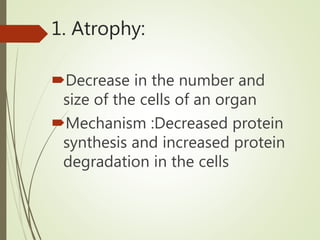 1. Atrophy:
Decrease in the number and
size of the cells of an organ
Mechanism :Decreased protein
synthesis and increased protein
degradation in the cells
 