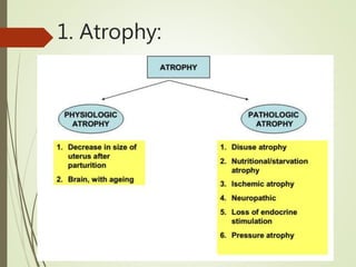 1. Atrophy:
 