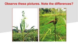 Observe these pictures. Note the differences?
 