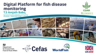 Digital Platform for fish disease
monitoring
T.S Amjath Babu,
Agricultural Economist (Modelling and Targeting)
Coordinator – CGIAR COVID-19 Hub
 
