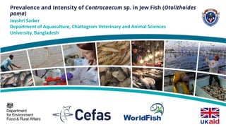 Prevalence and Intensity of Contracaecum sp. in Jew Fish (Otolithoides
pama)
Joyshri Sarker
Department of Aquaculture, Chattogram Veterinary and Animal Sciences
University, Bangladesh
 