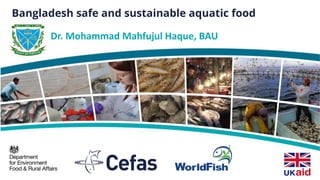 Bangladesh safe and sustainable aquatic food
Dr. Mohammad Mahfujul Haque, BAU
 