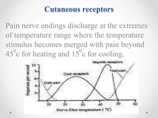 physiology of heat and cold