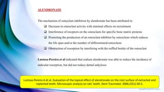 ALENDRONATE
The mechanism of osteoclast inhibition by alendronate has been attributed to
 Decrease in osteoclast activity with minimal effects on recruitment
 Interference of receptors on the osteoclasts for specific bone matrix proteins
 Promoting the production of an osteoclast-inhibitor by osteoclasts which reduces
the life span and/or the number of differentiated osteoclasts
 Obstruction of resorption by interfering with the ruffled border of the osteoclast
Lustosa-Pereira et al indicated that sodium alendronate was able to reduce the incidence of
radicular resorption, but did not reduce dental ankylosis
Lustosa-Pereira A et al. Evaluation of the topical effect of alendronate on the root surface of extracted and
replanted teeth. Microscopic analysis on rats' teeth. Dent Traumatol. 2006;22(1):30-5.
 