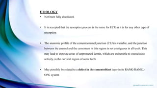ETIOLOGY
• Not been fully elucidated
• It is accepted that the resorptive process is the same for ECR as it is for any other type of
resorption
• The anatomic profile of the cementoenamel junction (CEJ) is variable, and the junction
between the enamel and the cementum in this region is not contiguous in all teeth. This
may lead to exposed areas of unprotected dentin, which are vulnerable to osteoclastic
activity, in the cervical region of some teeth
• May possibly be related to a defect in the cementoblast layer in its RANK-RANKL-
OPG system
 