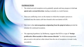 PATHOGENESIS
• The initial cervical resorption cavity gradually spreads and may progress in both an
apical and a coronal direction, leading eventually to a tooth fracture.
• There are conflicting views on the manner in which the resorptive process is
sustained once the clastic cells have bound to the root dentin in ECR.
• One view is that microorganisms originating from the gingival sulcus provide the
stimulus for continued resorption.
• The opposing hypothesis, by Heithersay, suggests that ECR is a type of “benign
proliferative fibrovascular or fibro-osseous disorder” in which microorganisms
play no active role and are either absent from the site of resorption or invade it only
secondarily.
 