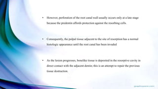 • However, perforation of the root canal wall usually occurs only at a late stage
because the predentin affords protection against the resorbing cells.
• Consequently, the pulpal tissue adjacent to the site of resorption has a normal
histologic appearance until the root canal has been invaded
• As the lesion progresses, bonelike tissue is deposited in the resorptive cavity in
direct contact with the adjacent dentin; this is an attempt to repair the previous
tissue destruction.
 