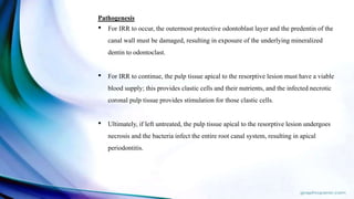 Pathogenesis
• For IRR to occur, the outermost protective odontoblast layer and the predentin of the
canal wall must be damaged, resulting in exposure of the underlying mineralized
dentin to odontoclast.
• For IRR to continue, the pulp tissue apical to the resorptive lesion must have a viable
blood supply; this provides clastic cells and their nutrients, and the infected necrotic
coronal pulp tissue provides stimulation for those clastic cells.
• Ultimately, if left untreated, the pulp tissue apical to the resorptive lesion undergoes
necrosis and the bacteria infect the entire root canal system, resulting in apical
periodontitis.
 