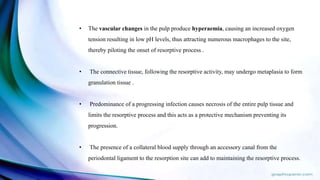 • The vascular changes in the pulp produce hyperaemia, causing an increased oxygen
tension resulting in low pH levels, thus attracting numerous macrophages to the site,
thereby piloting the onset of resorptive process .
• The connective tissue, following the resorptive activity, may undergo metaplasia to form
granulation tissue .
• Predominance of a progressing infection causes necrosis of the entire pulp tissue and
limits the resorptive process and this acts as a protective mechanism preventing its
progression.
• The presence of a collateral blood supply through an accessory canal from the
periodontal ligament to the resorption site can add to maintaining the resorptive process.
 