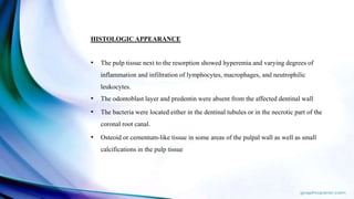 HISTOLOGIC APPEARANCE
• The pulp tissue next to the resorption showed hyperemia and varying degrees of
inflammation and infiltration of lymphocytes, macrophages, and neutrophilic
leukocytes.
• The odontoblast layer and predentin were absent from the affected dentinal wall
• The bacteria were located either in the dentinal tubules or in the necrotic part of the
coronal root canal.
• Osteoid or cementum-like tissue in some areas of the pulpal wall as well as small
calcifications in the pulp tissue
 