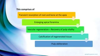 Transient resorption of root and bone at the apex
Enlarging apical foramina
Vascular regeneration – Recovery of pulp vitality
Calcification of regenerated tissue
Pulp obliteration
This comprises of
 