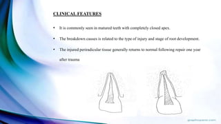 CLINICAL FEATURES
• It is commonly seen in matured teeth with completely closed apex.
• The breakdown causes is related to the type of injury and stage of root development.
• The injured periradicular tissue generally returns to normal following repair one year
after trauma
 