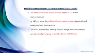 Dissolution of the inorganic crystal structure of hydroxyapatite
• The activated osteoclasts produce an acidic pH (3.0 to 4.5) in their
microenvironment.
• At pH 5.0 or lower, the solubility of hydroxyapatite increases dramatically, and
resorption of hard tissue can occur.
• This acidic environment is primarily achieved through the action of a highly
active polarized proton pump contained within the ruffled border.
 